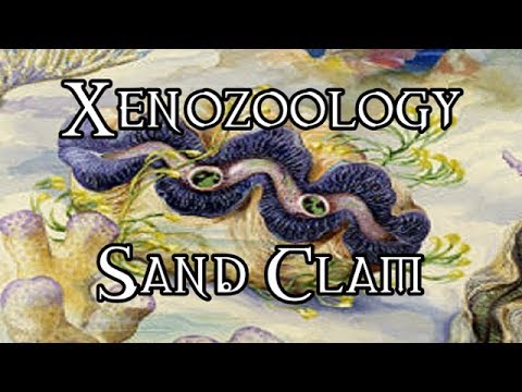 Xenozoology: Sand Clam - 40K Theories