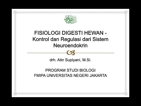 helmint betegség emberben hpv végbélrák tünetei