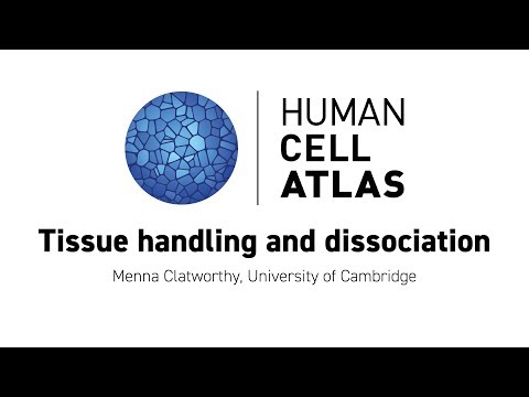 Hinxton 2018 - Tissue handling and dissociation