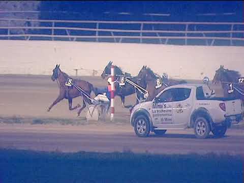 Trotto 15/03/2019 - 7ª corsa