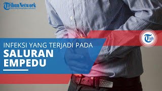 Cholangitis, Infeksi yang Terjadi pada Saluran Empedu