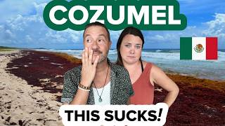 Everything Went Wrong in Cozumel 🇲🇽 Mexico's Nightmare Sargassum Problem