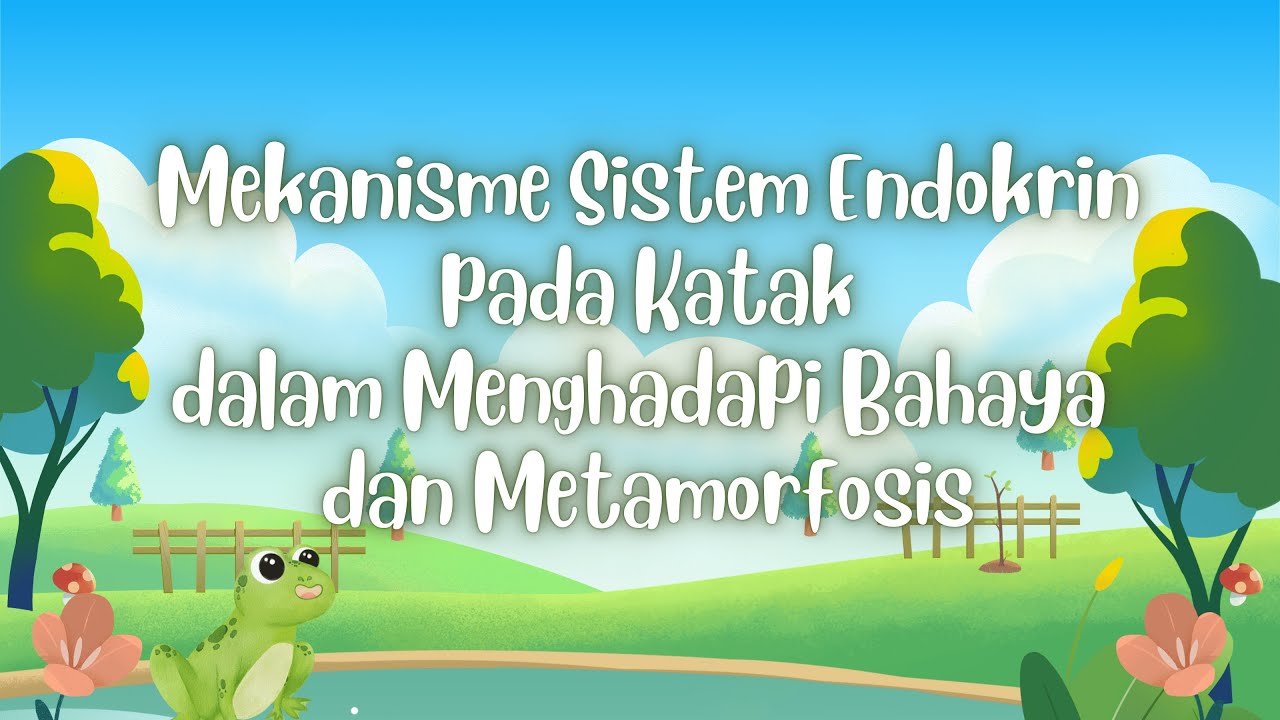 Video Pembelajaran 4