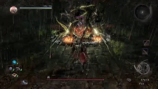 仁王　鵺ノーダメ攻略を目指して