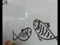 Fishes XD