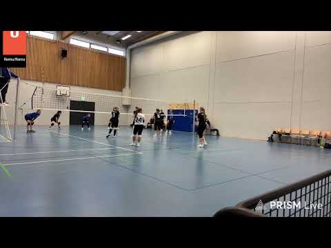 PetPet - Riemu, 11.1.2026