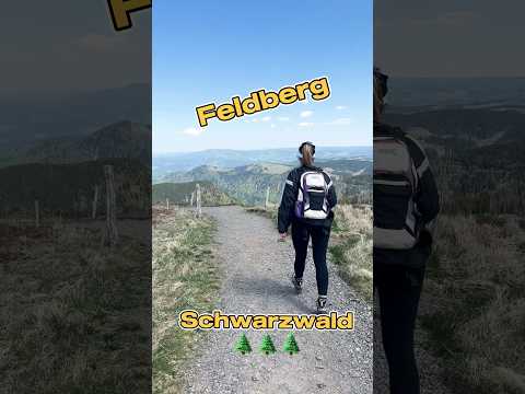 Feldberg Wanderung Genießerpfad #feldberg #hiking #naturelovers #wandern #schwarzwald #blackforest