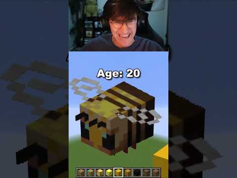 Minecraft Bee Pixel Arts at Different Ages 😳🐝