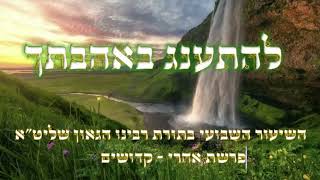 להתענג על אהבת הבורא ברוך הוא ||השיעור השבועי אחרי קדושים