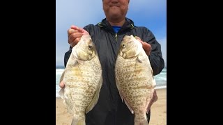 Surf Fishing w Bert and Collin July 30, 2016
