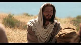 [3º Dia – A caminho do Natal com o Papa Francisco]