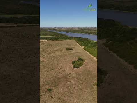 Campo a la venta 280 hectáreas en Florida Uruguay
