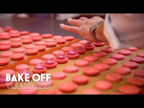 download lagu mp3 mp4 Macarons Bake Off, download lagu Macarons Bake Off gratis, unduh video klip Macarons Bake Off