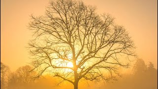 Working with Lord Kuthumi