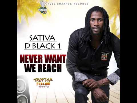 Sativa D Black1 - Never Want We Reach -Official Audio 2018
