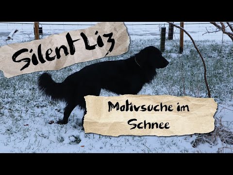 Motivsuche im Schnee - oder Rumo dreht durch