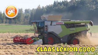 Harvest 2025 | Claas Lexion 6800 combine
