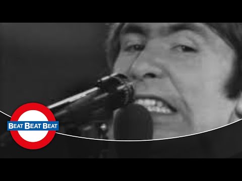 The Troggs - I Can't Control Myself (1967)