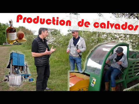 , title : 'A la rencontre d'un producteur de Calvados : du verger à la dégustation ! #CoFarmingTour'