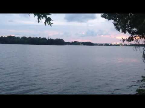 Watching Life Go By -- Lake Quannapowitt Wakefield, MA 6/27/16