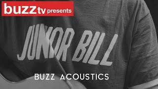 Buzz Acoustics- Junior Bill