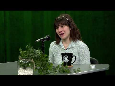 The Weekly Wave Season 2 Episode 13: Coronavirus