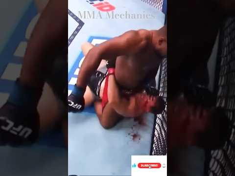 Portuguese Heavyweight Mario Pinto delivered a dominant performance, stopping Jhonata Diniz via TKO