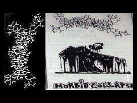 Disgorge [NOR] [Death] 1991 - Morbid Collapse (Full Demo)