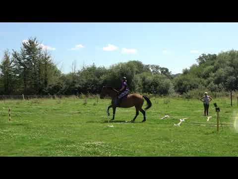 2021.08.14 - Canter poles lesson with Amber (Sony FDR AX53 4k + Pixio) (5)