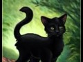Warrior Cats - Whispers in the Dark 