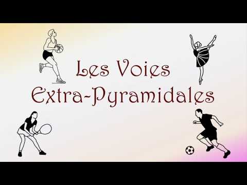 Neurofacile 8: The extrapyramidal pathways