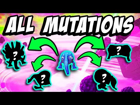 All Mutations in the Eternal Cylinder!