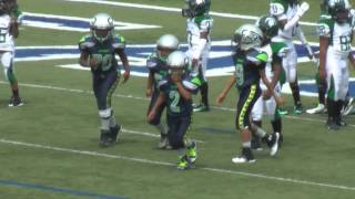 preview picture of video 'Detroit Spartans vs. Redford Seahawks (D-Team) Game Highlights (7-26-2014)'