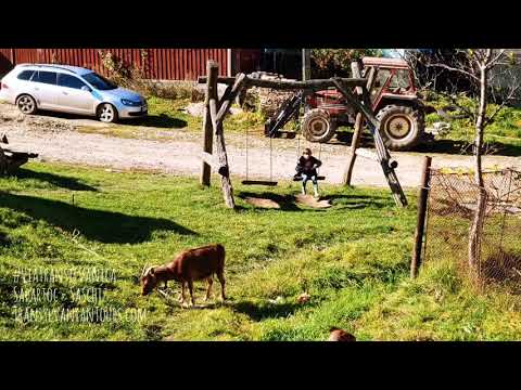 Hiking #ViaTransilvanica From #Sighisoara to #Saschiz via #Sapartoc