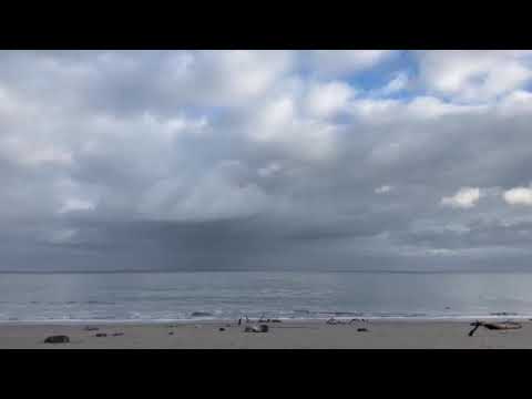 Salmur Nr 1 - Krauka