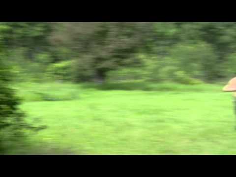 new gun hazing  jordan  aps adasaurus m4