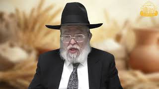 דף היומי בחצי שעה – מסכת מנחות דף ק’א