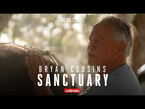 Bryan Cousins Is A Passionate Harness Racing Trainer That Treats His Horses Like Family