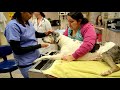 Dental Cleaning Video
