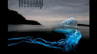 DEVOCEAN 2017 (full album)