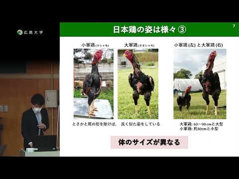 日本鶏の成り立ちと半永久的に保存する技術