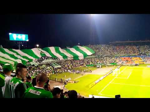 "Nacional vs Delfin - Copa Libertadores 2018 | Salida Los Del Sur - Bandera Gigante" Barra: Los del Sur • Club: Atlético Nacional