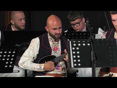 Kicoška posla - orkestar KUD-a Preporod