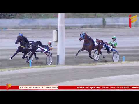 V Corsa del 24 Giugno 2023 - 5 Anni ed oltre - Metri 3000/3020