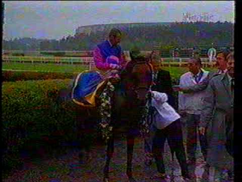 GALOPPSPELAREN - del 3 Årskrönika 1990