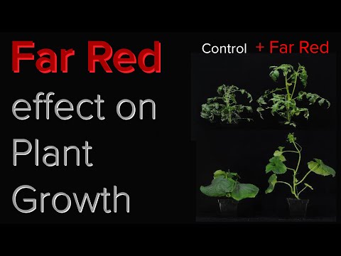 YouTube video about: How to use full red far red flower booster lights?