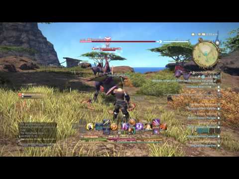 FINAL FANTASY XIV Level 5 Battlecraft Leve Guildleve in Western Thanalan: A spooful of poison