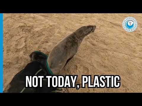 A Lucky Escape from Deadly Fishing Line