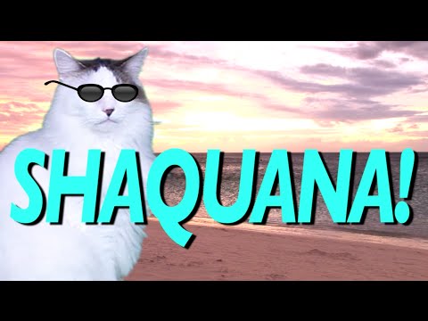 HAPPY BIRTHDAY SHAQUANA! - EPIC CAT Happy Birthday Song