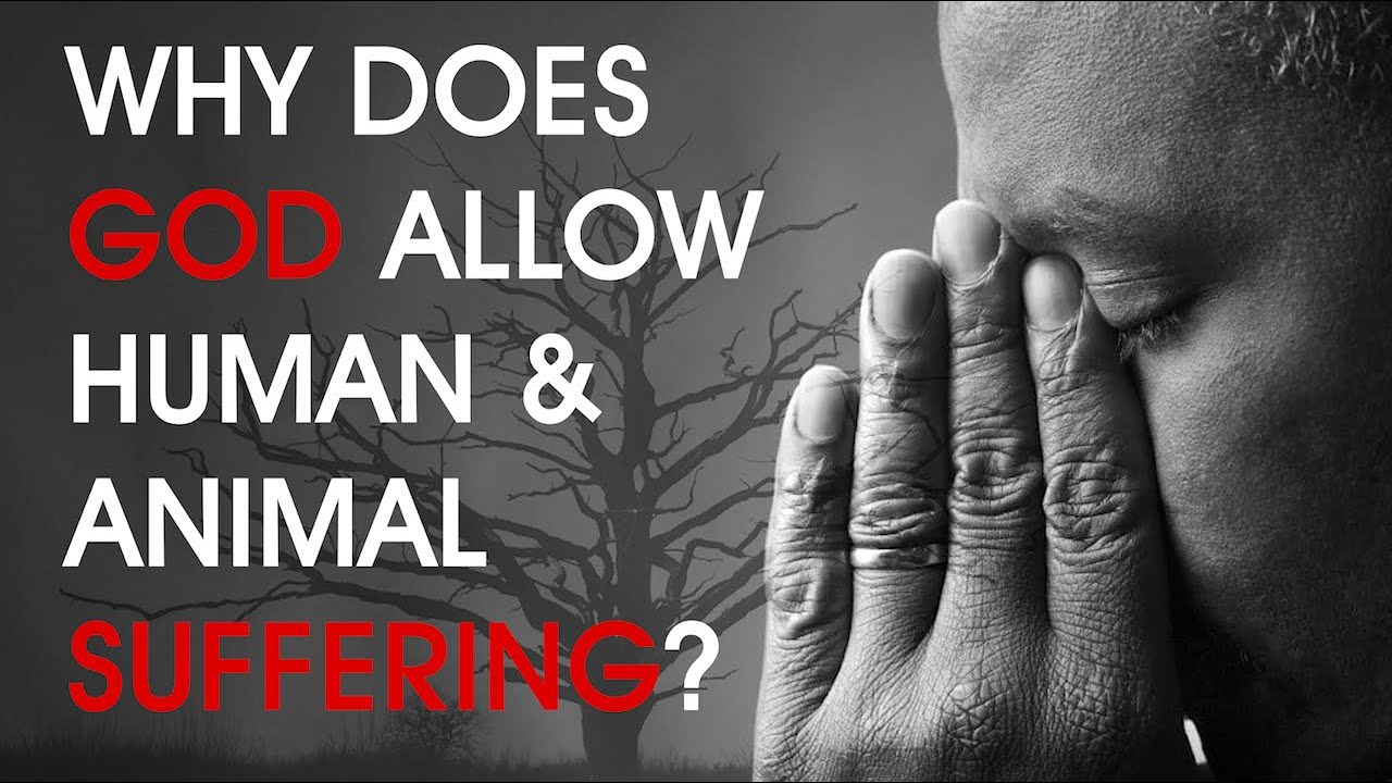 The Problem of Suffering: A Christian Response